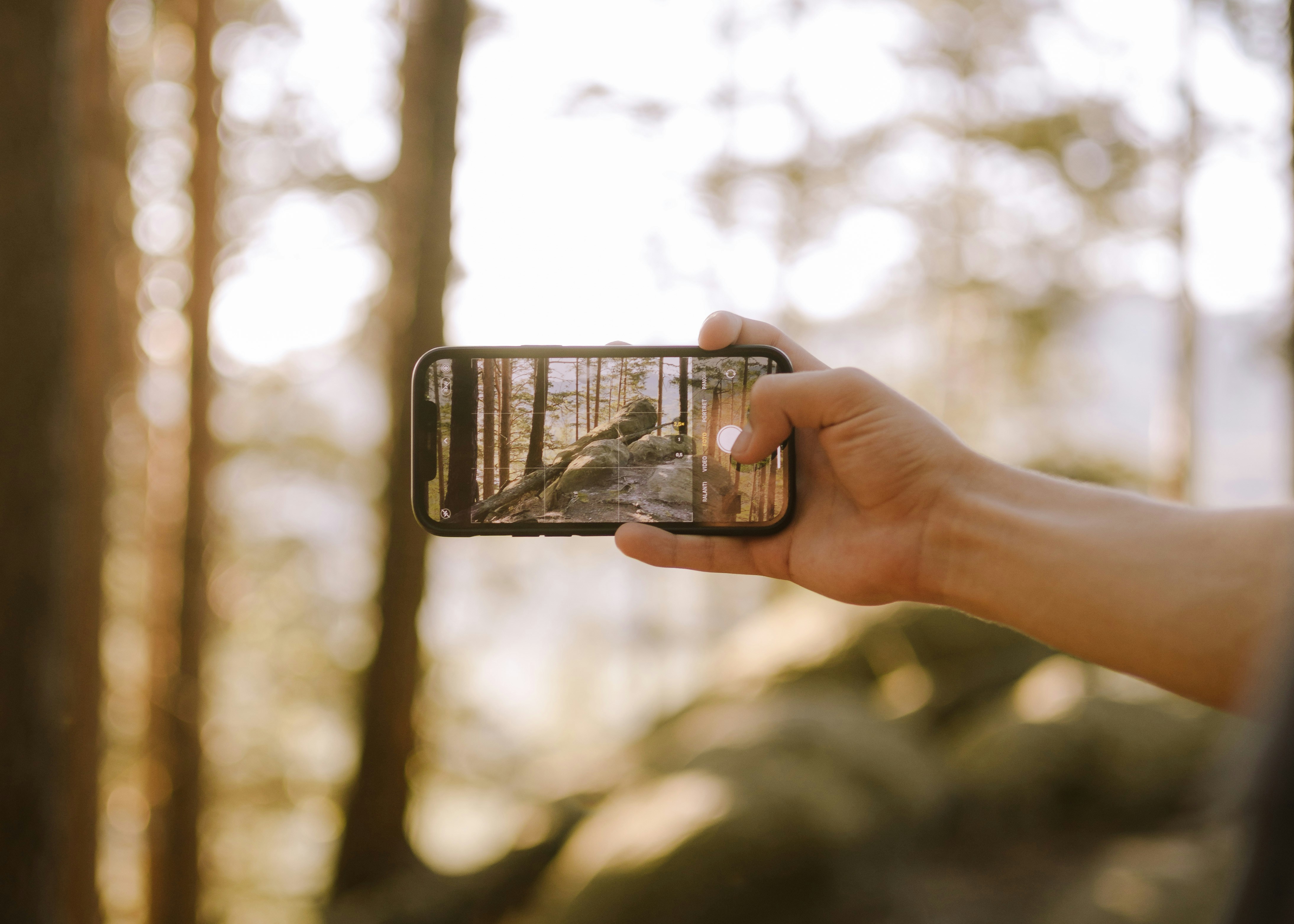 Student taking a picture of nature through their smartphone